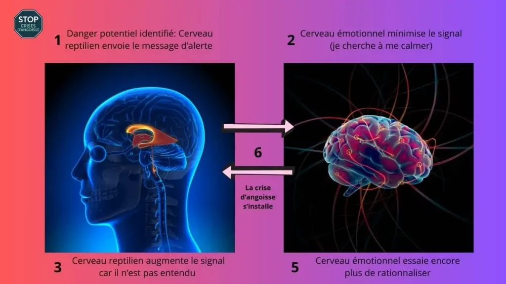 Fonctionnement crise schéma